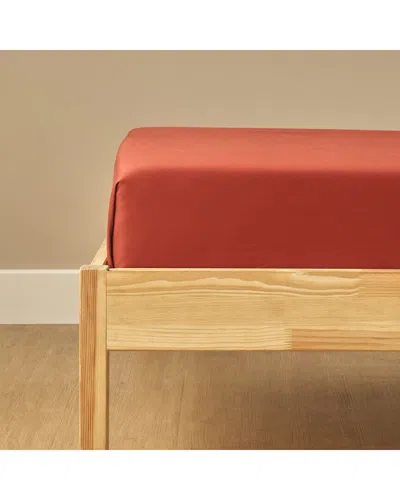 Bella Maison Supreme Cotton Sateen Flat Sheet In Orange