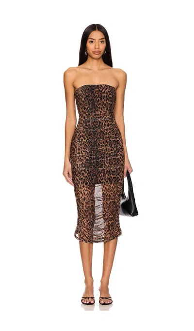 Bella Venice Emerson Tube Dress In Cheetah