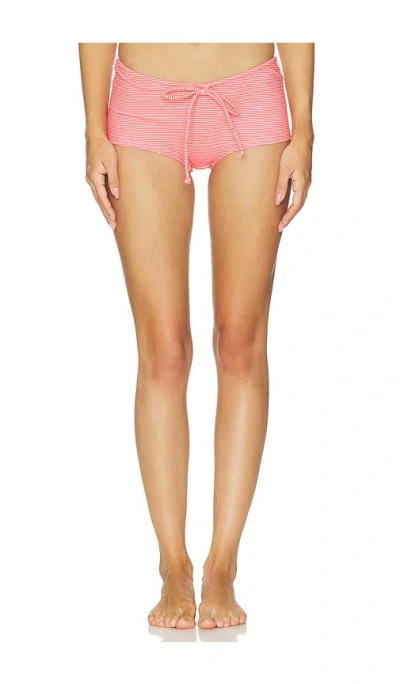 Bella Venice The Belle Shortie In Pink