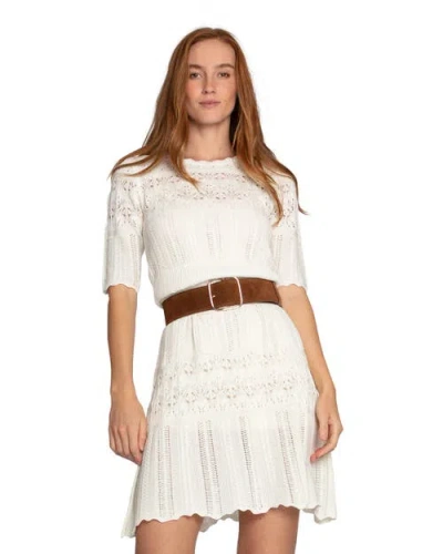 Belle & Bloom Everbloom Crochet Mini Dress In Transparent