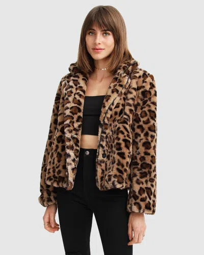 Belle & Bloom Last Call Leopard Faux Fur Jacket In Brown