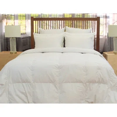 Belle Epoque Chateau Winter Weight Down Comforter In White