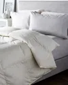 Belle Epoque Delight Mid-warmth Down Comforter In White