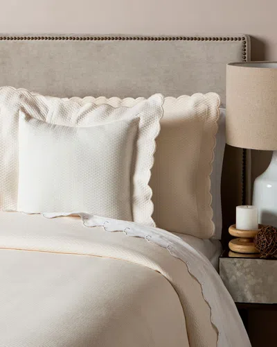 Belle Epoque Isabel Coverlet And Sham Coordinates In Beige