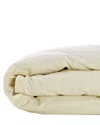 Belle Epoque Proprietors Blend Down Collection Comforter