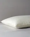 Belle Epoque Proprietors Medium Down Fill Pillow