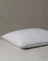 Belle Epoque Studio Firm Pillow