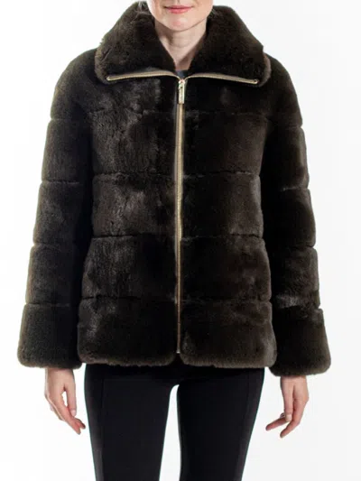 Belle Fare Women's Faux Rex Panel Jacket In Brown