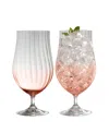 BELLEEK POTTERY GALWAY CRYSTAL ERNE CRAFT BEER, COCKTAIL SET OF 2