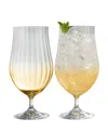 BELLEEK POTTERY GALWAY CRYSTAL ERNE CRAFT BEER, COCKTAIL SET OF 2