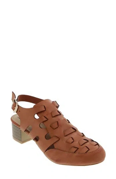 Bellini Penelope Slingback Pump In Brown