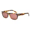 Belstaff Brown Acetate Sunglasses In Multi
