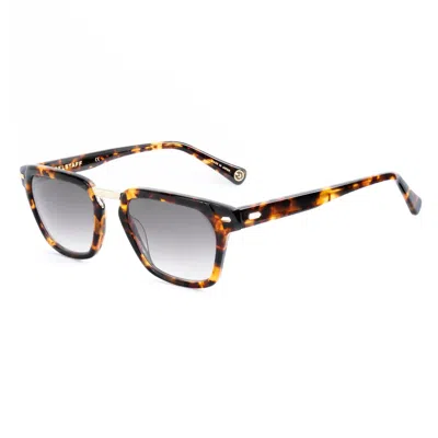 Belstaff Brown Acetate Sunglasses In Multi