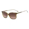 Belstaff Brown Titanium Sunglasses In Brown