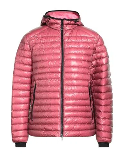 Belstaff Man Puffer Antique Rose Size 44 Polyamide In Pink