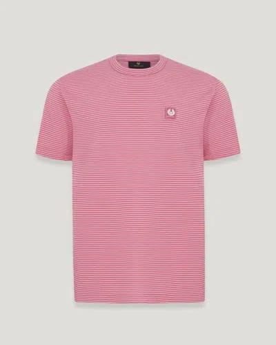 Belstaff Micro Striped T-shirt In Magenta / Natural