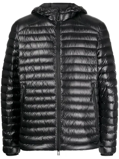 Belstaff Padded Hooded Jacket In Black