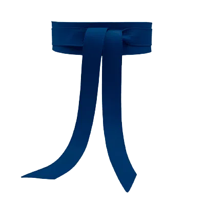 Beltbe Women's Wrap Belt - Blue