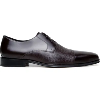 Belvedere Alexander Cap Toe Derby In Brown