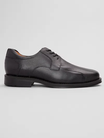 Belvedere Bay Bridge Ii Bicycle-toe Derby Shoes In Black