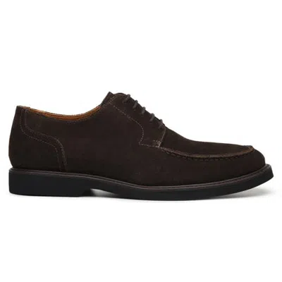 Belvedere Franco Suede Split Toe Derby In Brown