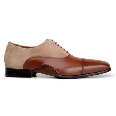 Belvedere Leontes Oxford In Cognac Oat