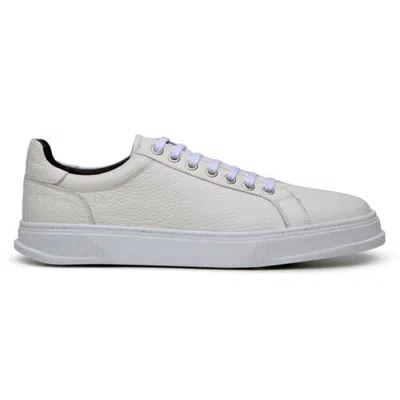 Belvedere Matteo Sneaker In Off-white