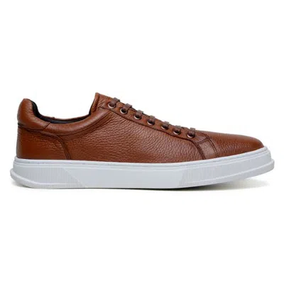 Belvedere Matteo Sneaker In Tan