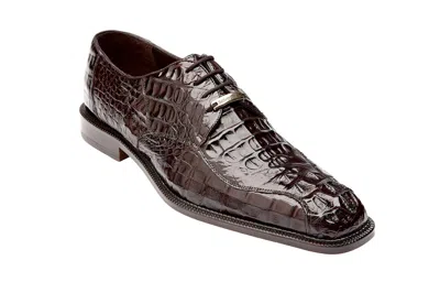 Pre-owned Belvedere Mens Dress Formal Shoes Chapo Genuine Crocodile Brown 1465