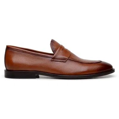 Belvedere Nohr Penny Loafer In Brown