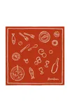 Bembien Tableau Silk Scarf In Red