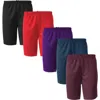 Benben Men Shorts Aero Mesh Pe In Multi