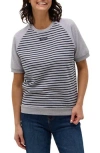 Bench . Masina Stripe Raglan Sleeve T-shirt In Gray