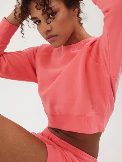 Bench Womens Crown Eco-fleece Cropped Crew Neck Sweatshirt In Pink
