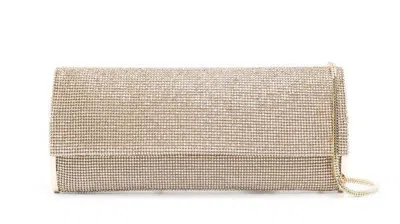 Benedetta Bruzziches Crystal Mesh Silver Clutch