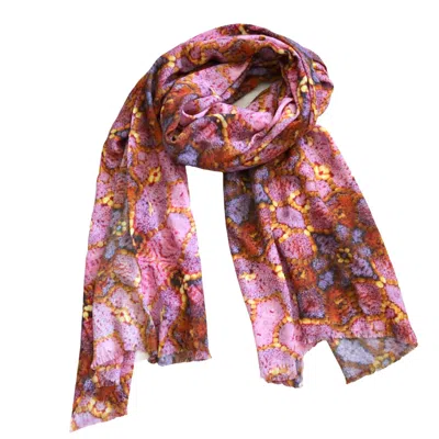 Benni Marine Designs Women's Pink / Purple In The Pink Merino Wool Scarf In Pink/purple
