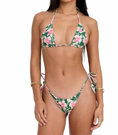 Benoa Tunnels Bikini Bottom In Waikiki In Multi