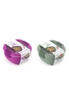 Bentgo 2-pack All-in-one Glass Salad Containers