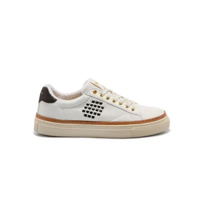 Bepositive Anniversary Leather Sneakers - Men In Multi