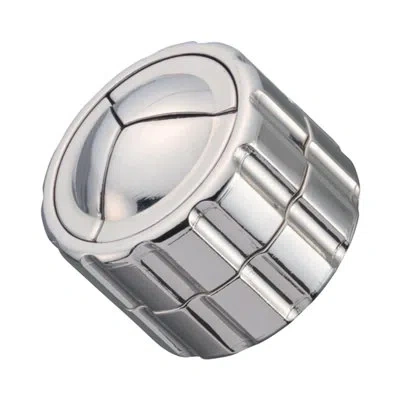Bepuzzled Hanayama Level 4 Cast Puzzle Cylinder