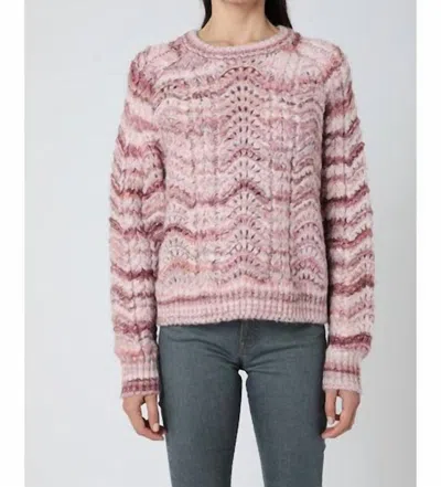 Berenice Maille Sweater In Multi In Pink