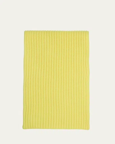 Bergdorf Goodman Ribbed Cashmere Scarf, Black In Green
