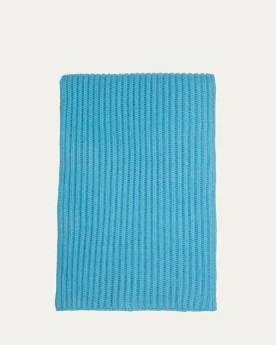 Bergdorf Goodman Ribbed Cashmere Scarf, Black In Blue