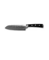 Berghoff Antigua 7" Santoku Knife In Black