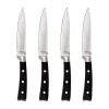 Berghoff Classico 4-pc. Steak Knife Set In Black