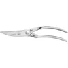 Berghoff Poultry Shears In Silver