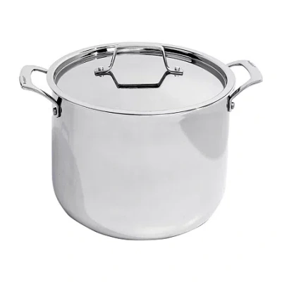 Berghoff Professional 18/10 Stainless Steel 9.5" Stockpot With Lid In Silver