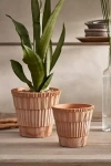 Bergs Atlas Terracotta Pot + Saucer Set