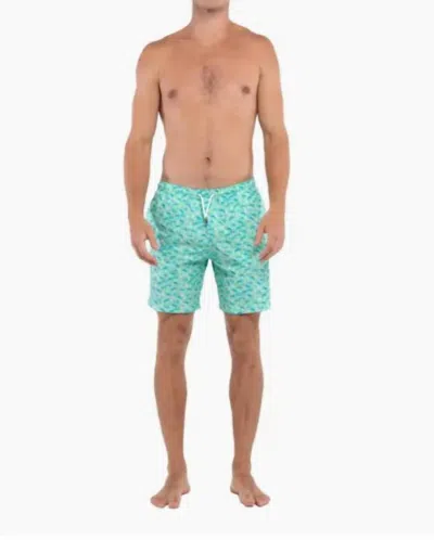 Bermies Men's Board Shorts In Green Marlin In Multi