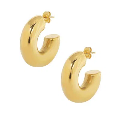 Bermuda Watch Company Women's Annie Apple Estelle Gold Stainless Steel Chubby Hoop Earrings